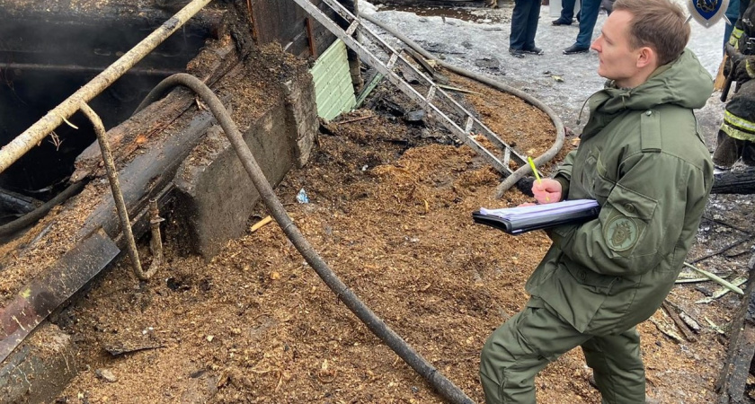 Пожар в Нижнем Новгороде: возбуждено уголовное дело по факту гибели двух детей