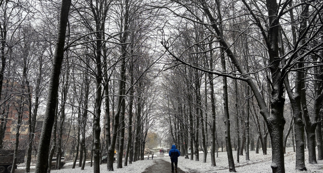 Зима влетела без стука: Вильфанд дал новый прогноз - уже с этой недели Россию накроют снег и морозы