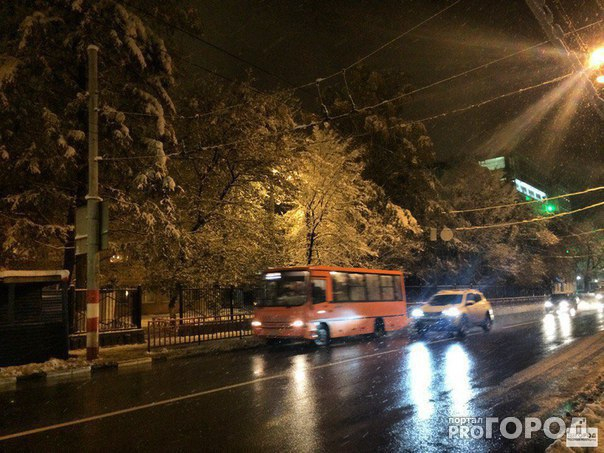 Нижегородские полицейские за день поймали около ста водителей автобусов