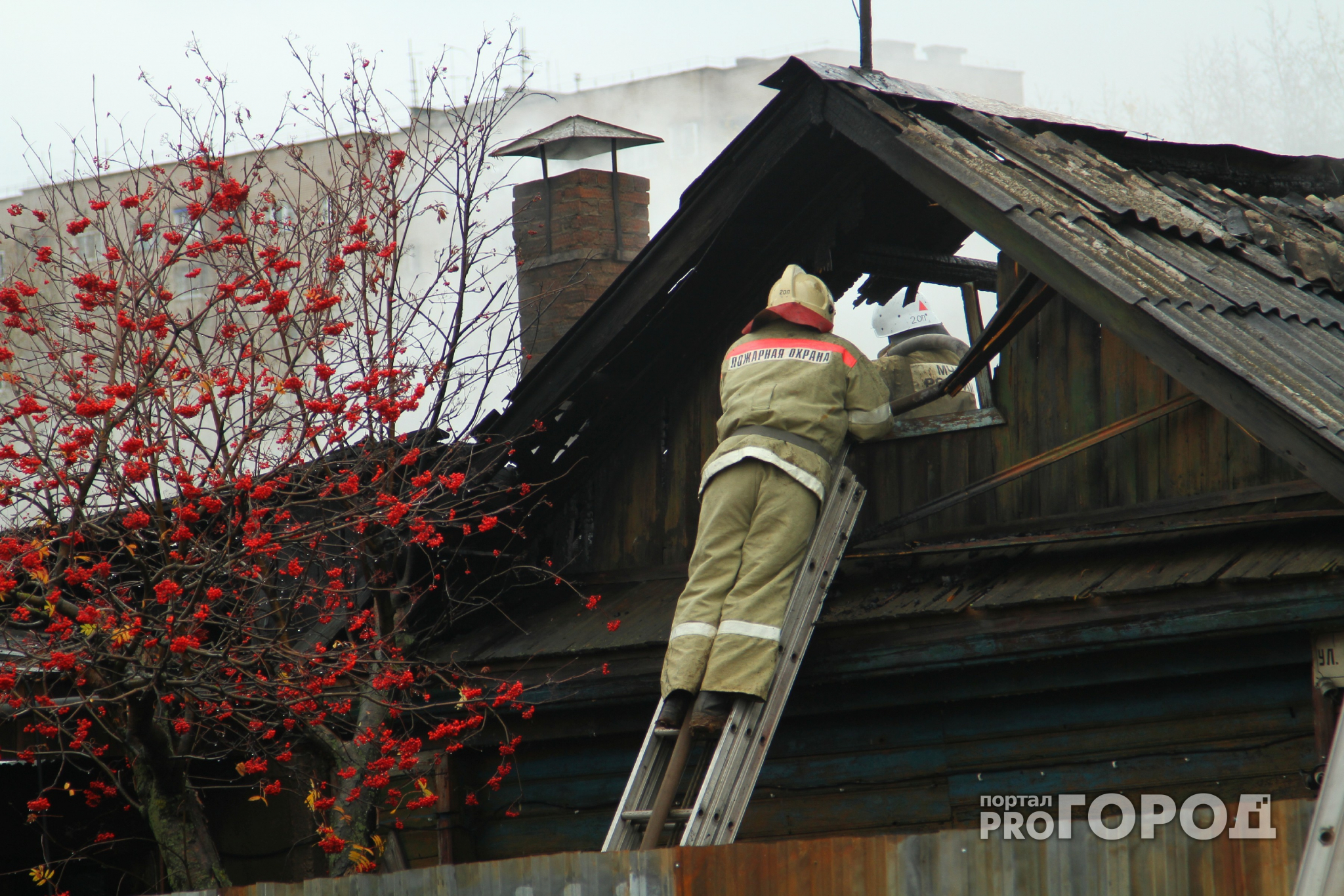 Детская шалость привела к крупному пожару в Нижегородской области