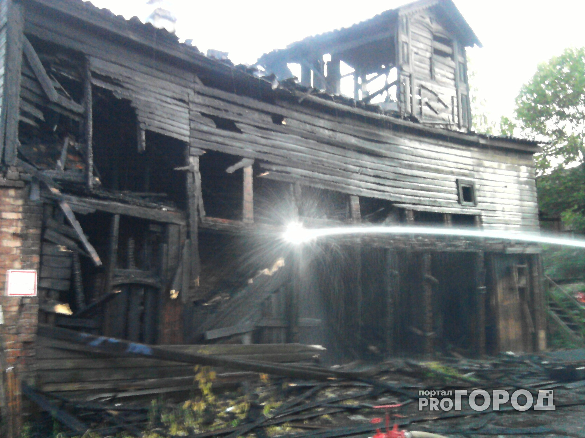 46-летний нижегородец заживо сгорел в своем доме