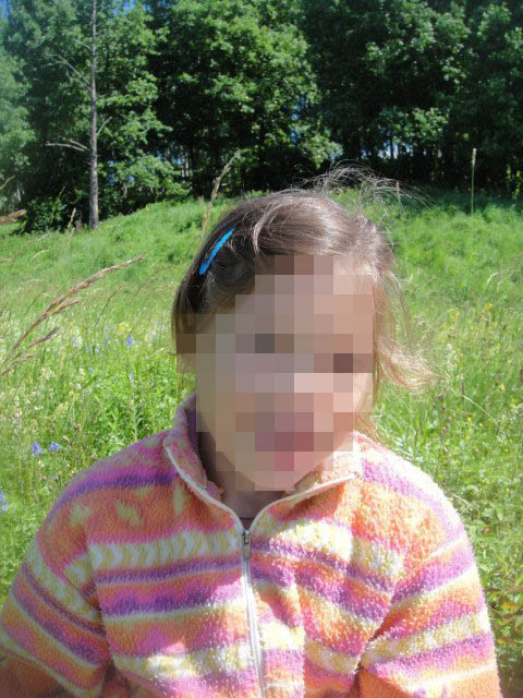 Подробности истории о девочке, которую обманом увезли из нижегородской семьи (видео)