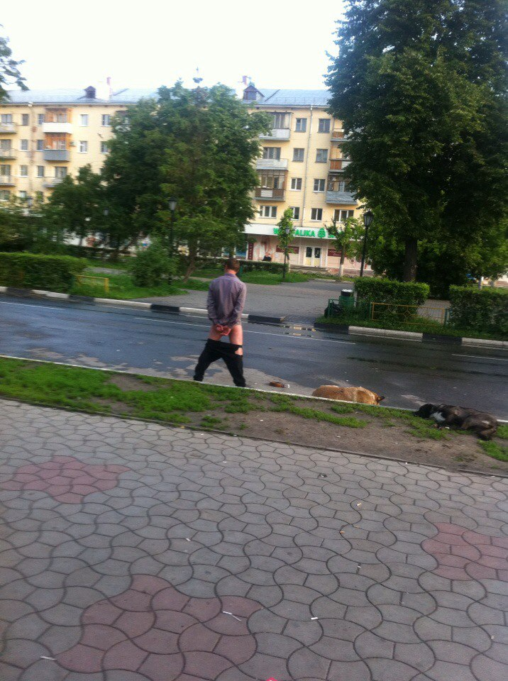 "Спущенные штаны и собаки": в Нижнем Новгороде появился подражатель актера Панина (фото)