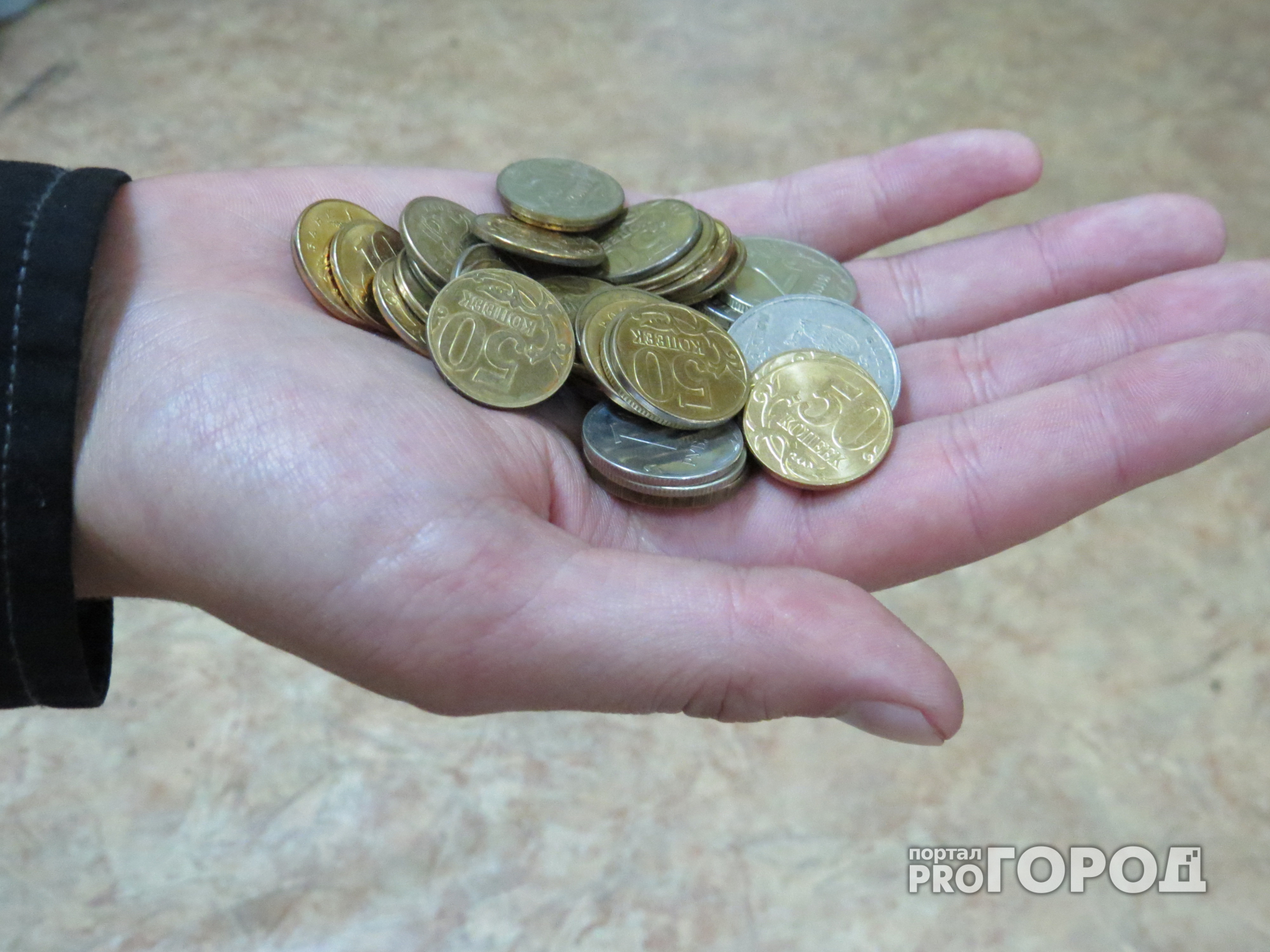 В Нижегородской области вырос уровень инфляции
