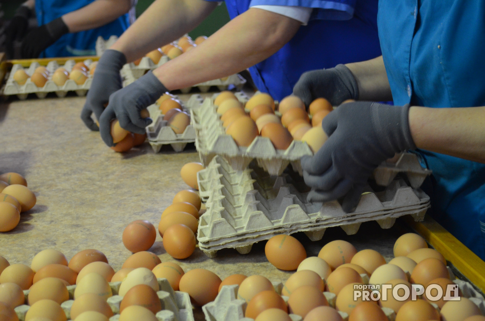 В Нижегородской области существенно снизились цены на яйца и куриное мясо