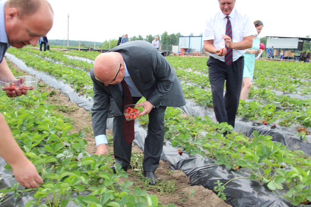 Каждая десятая ягода России будет производиться в Нижегородской области
