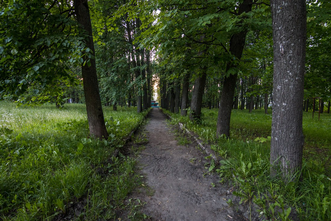 В Нижнем Новгороде нашли труп молодого человека в городском парке