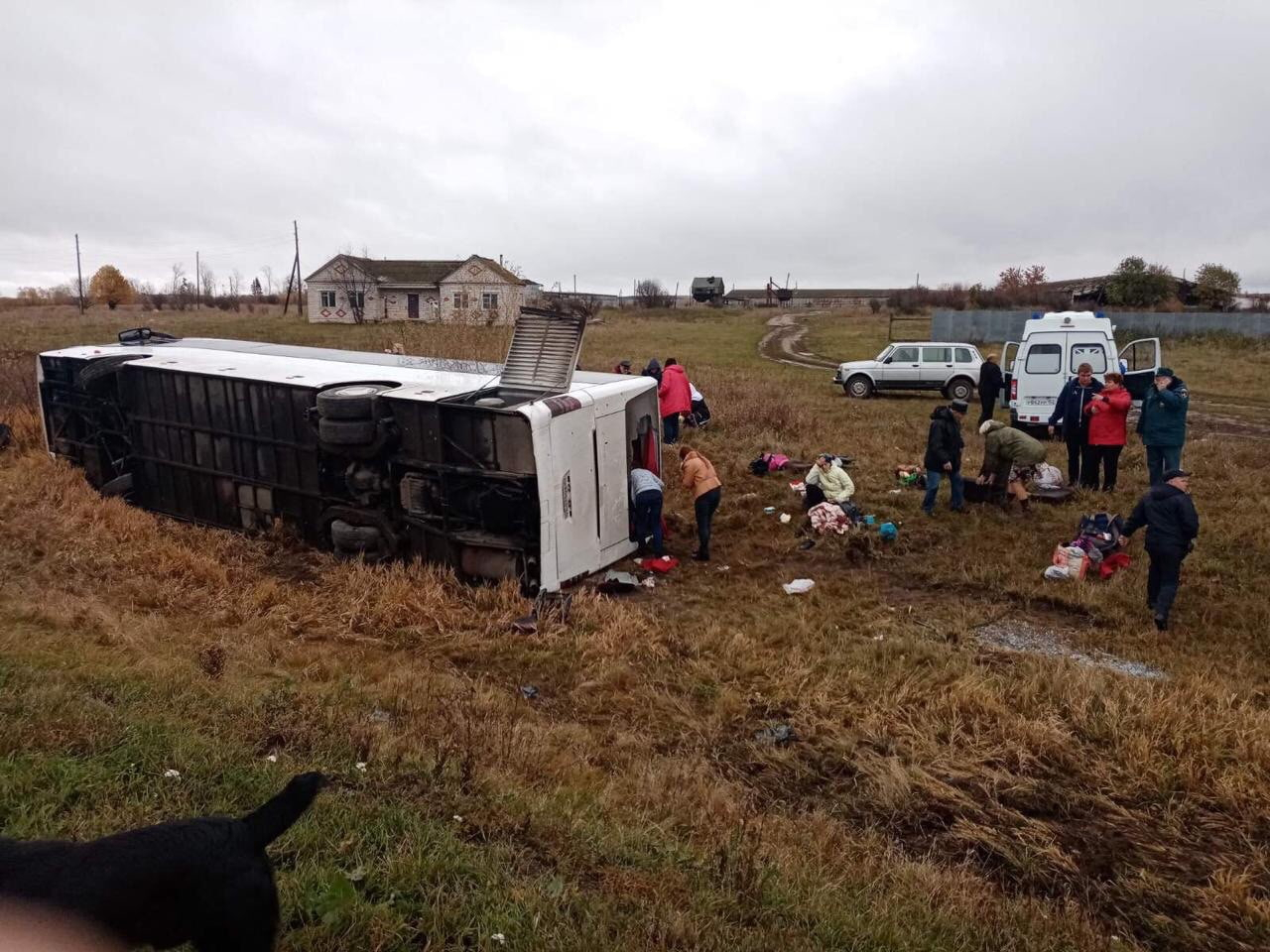Автобус с туристами перевернулся в Нижегородской области: 20 человек доставлены в больницы (ФОТО, ВИДЕО)
