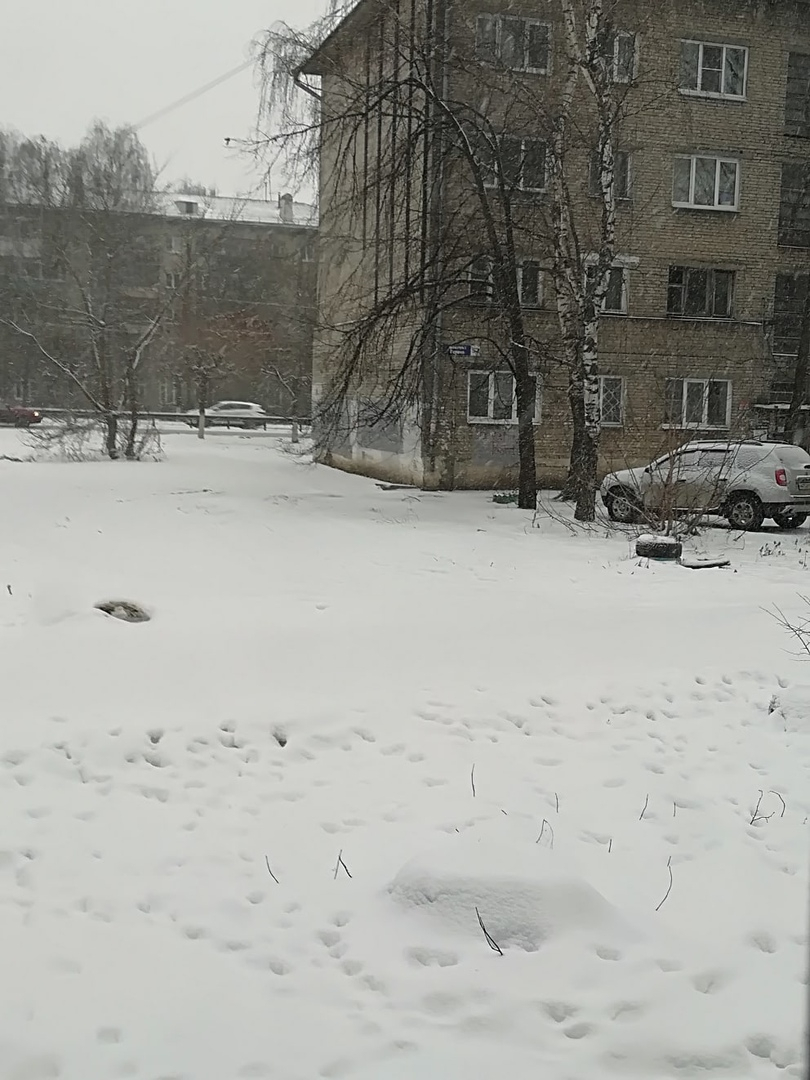МЧС: Сильный ветер ожидается в Нижегородской области 10 февраля