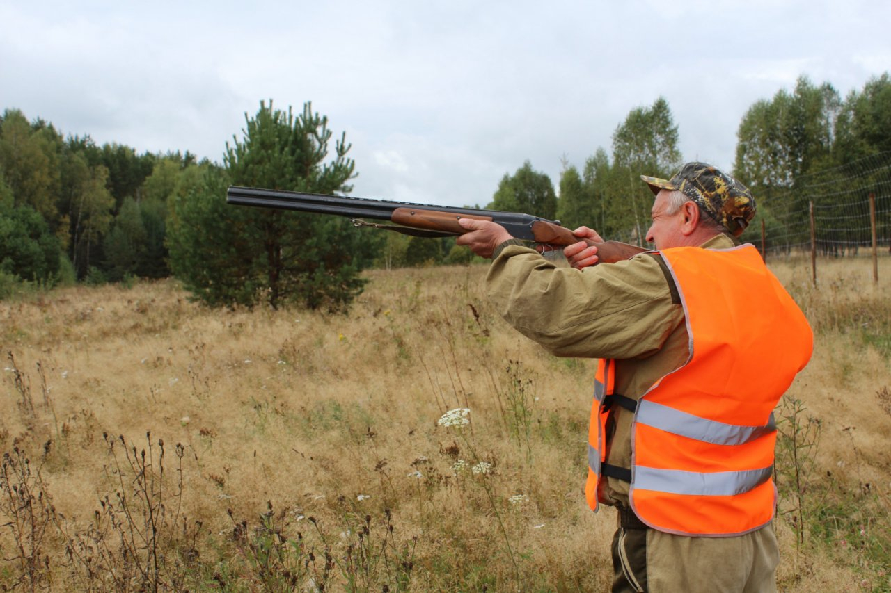Диких зверей в нижегородских лесах стало больше, а охотникам разрешили стрелять из лука