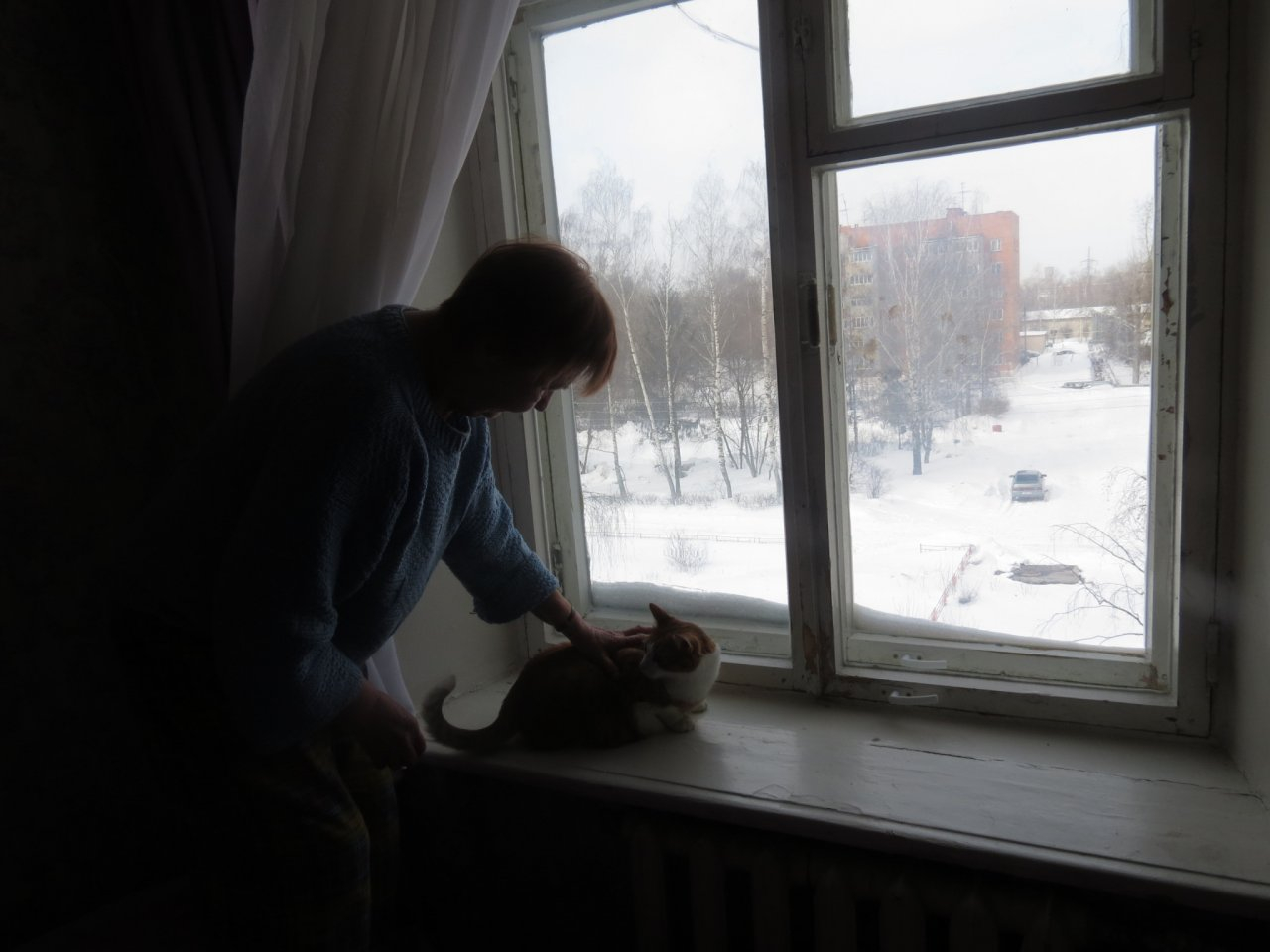 Квартира нижегородцев заросла плесенью после смерти соседки сверху