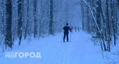 Морозы на смену снегопаду: в Нижегородской области к воскресенью резко упадет температура
