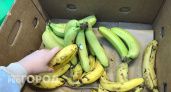 Город в Нижегородской области стал рекордсменом России по самым подорожавшим бананам 