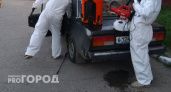 Роспотребнадзор проверит школу в Нижнем Новгороде после сообщений о котлете с тараканом