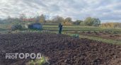 Посадка чеснока осенью: пролейте грядки этим аптечным средством перед посадкой - урожай вырастет с кулак