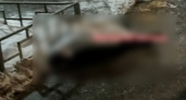 В Нижнем Новгороде на льду около жилого дома обнаружили труп мужчины