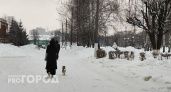Жительницу Городца обокрали после заказа букетов к 8 марта онлайн