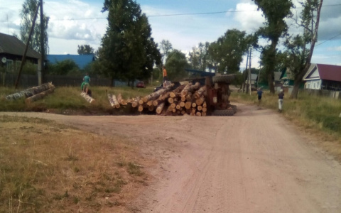 Лесовоз с бревнами перевернулся в Ардатовском районе (ФОТО)