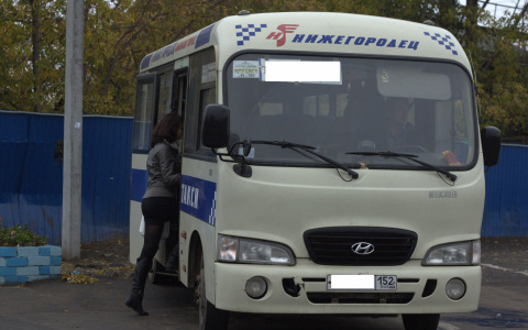 Движение пригородных автобусов Дзержинска изменится с 10 октября