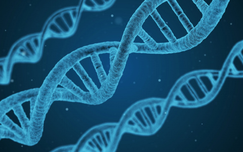 Нижегородские ученые, нашли молекулы, подавляющие ответственные за рак гены