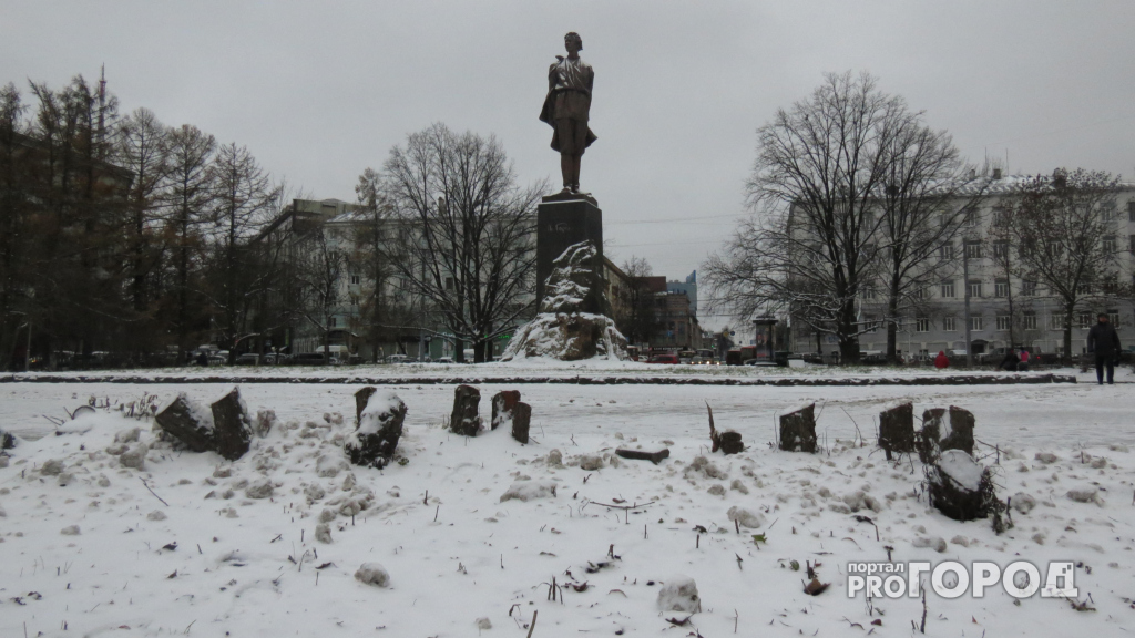 Спилили кустарники на площади Горького в Нижнем Новгороде
