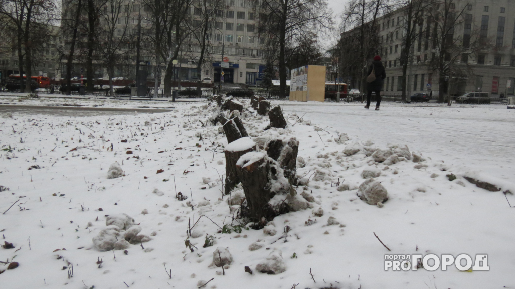 Спилили кустарники на площади Горького в Нижнем Новгороде