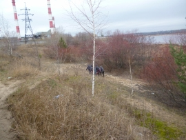 В Дивеевском районе Нижегородской области трое мужчин провалились под лед
