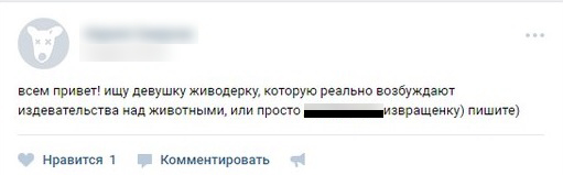 Борцы с живодерским контентом в соцсети «ВКонтакте» выстроились на Малой Конюшенной