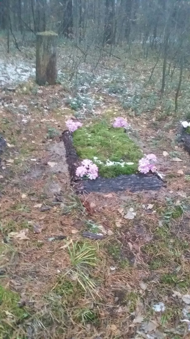 кладбище животных на трассе в Балахнинском районе