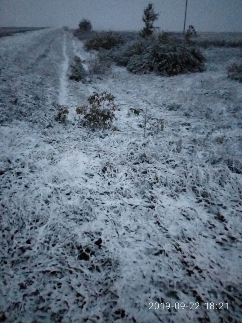 первый снег Нижний Новгород Нижегородская область 22 сентября
