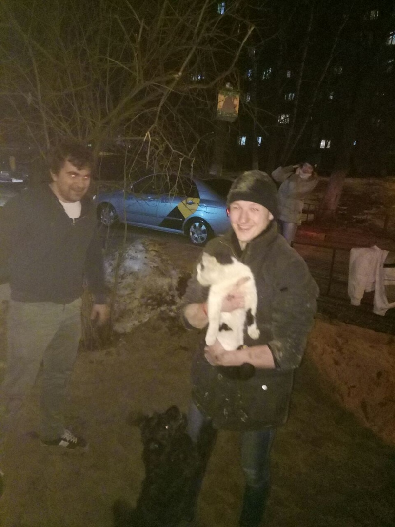 спасение замурованного кота в Приокском районе на улице Карбышева Нижний Новгород