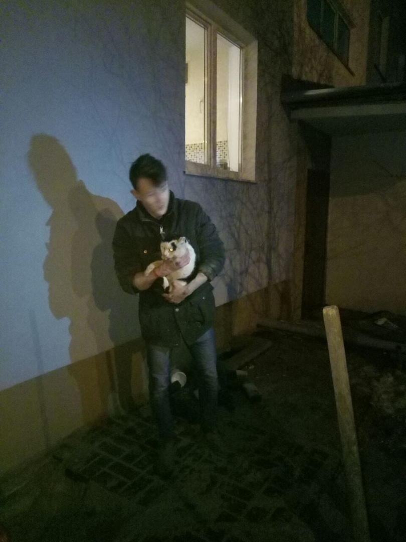 спасение замурованного котенка Нижний Новгород