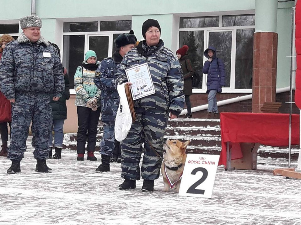 корги-полицейский занял второе место на соревнованиях среди служебных собак Нижегородской области