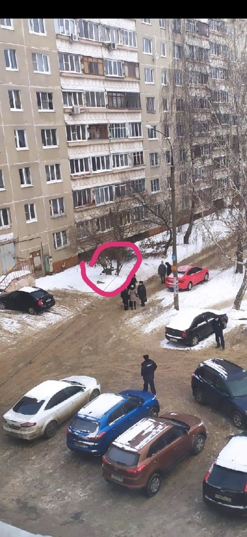 ребенок выпал из окна и погиб в Нижнем Новгороде 22 декабря