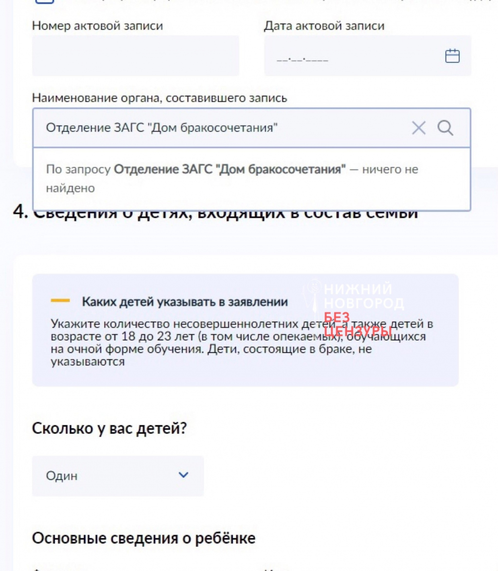 Беременные нижегородки не могут подать заявку на новое пособие 1 июля