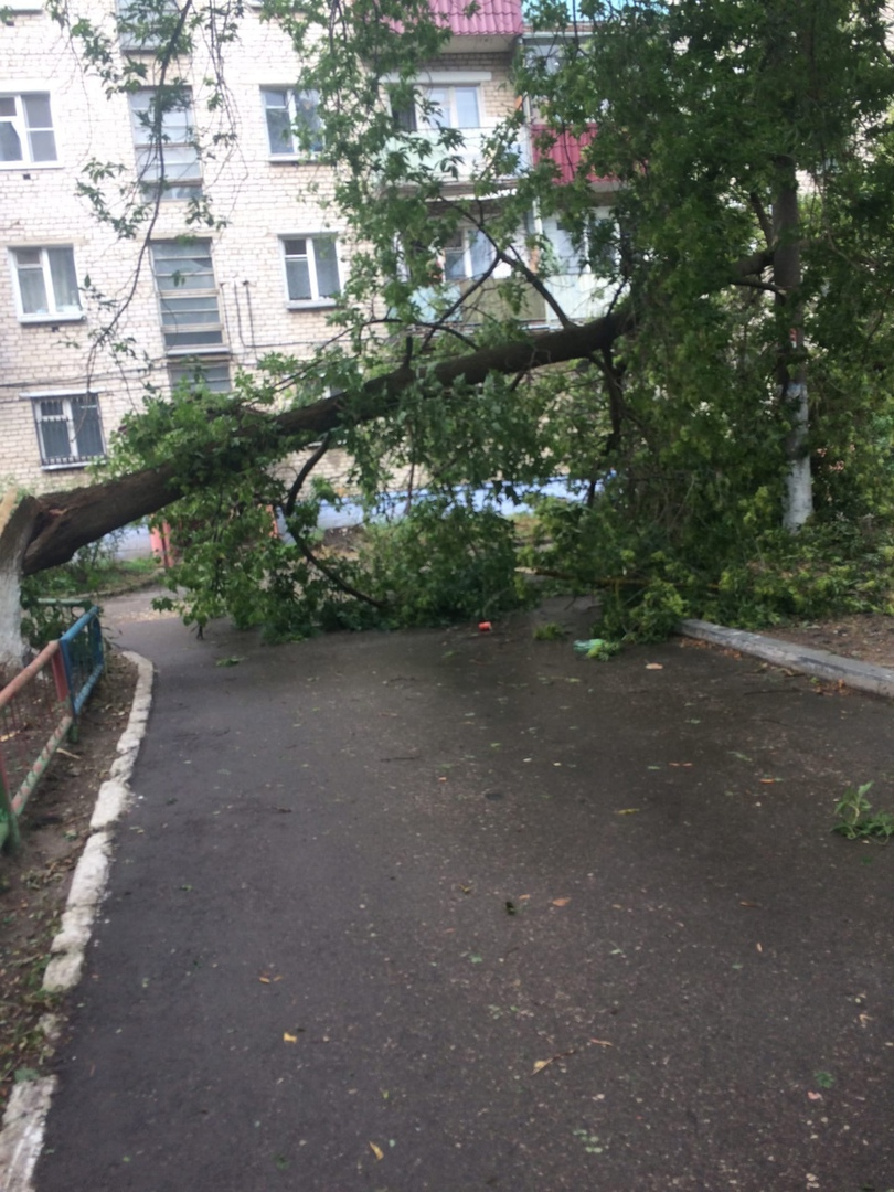 Ураган в Нижнем Новгороде 28 июня