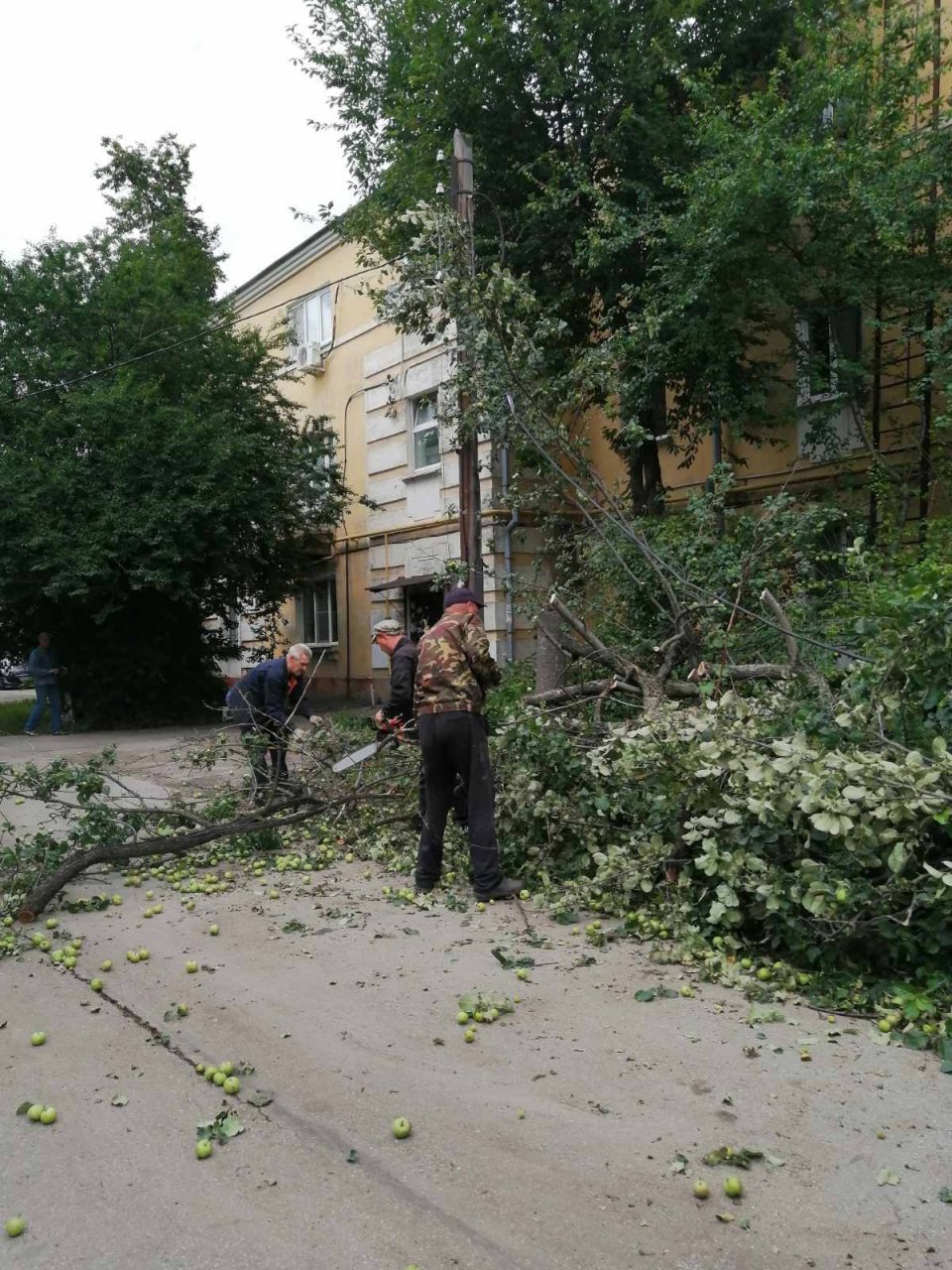 Специалисты домоуправляющих компаний пяти районов Нижнего Новгорода убрали  102 упавших дерева после прошедшего урагана