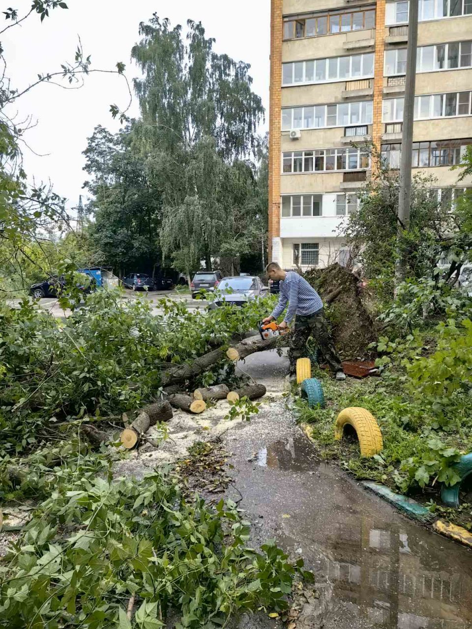 Специалисты домоуправляющих компаний пяти районов Нижнего Новгорода убрали  102 упавших дерева после прошедшего урагана