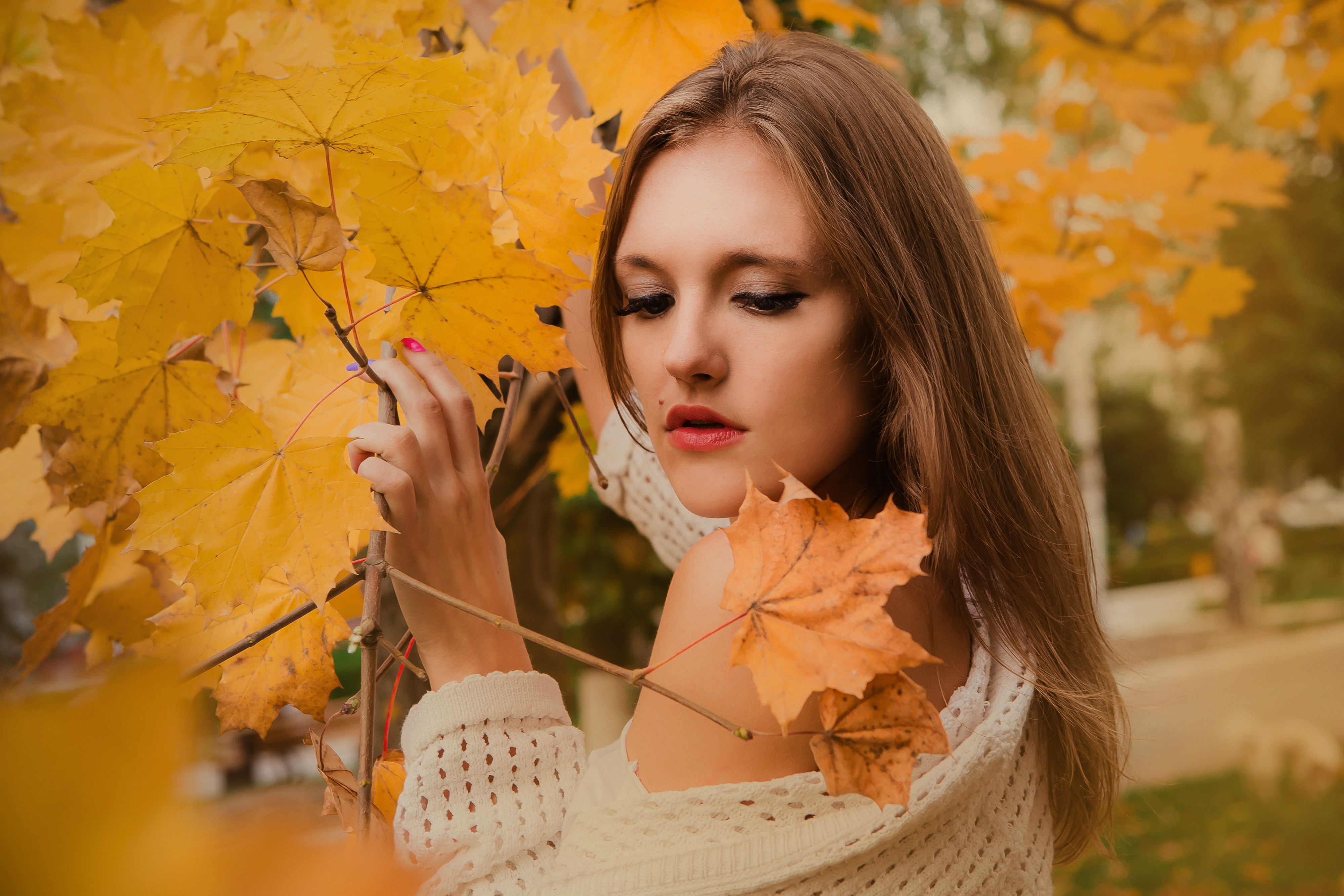 Красивые женщины осень. Осенний портрет. Женщина осень. Девушка с кленовым листом. Фон для портрета осень.