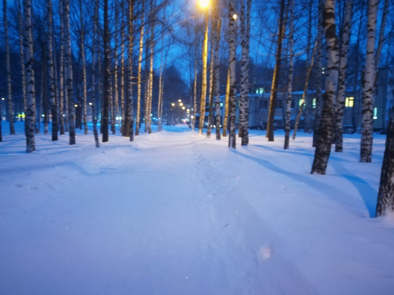 Метель и сильный ветер ожидаются в Нижегородской области 26 и 27 января