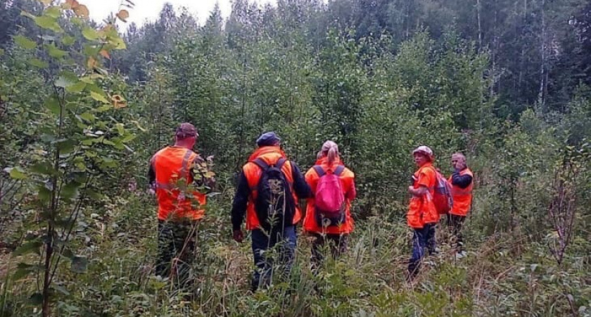 Пропавшего в лесу Нижегородской области мужчину нашли погибшим