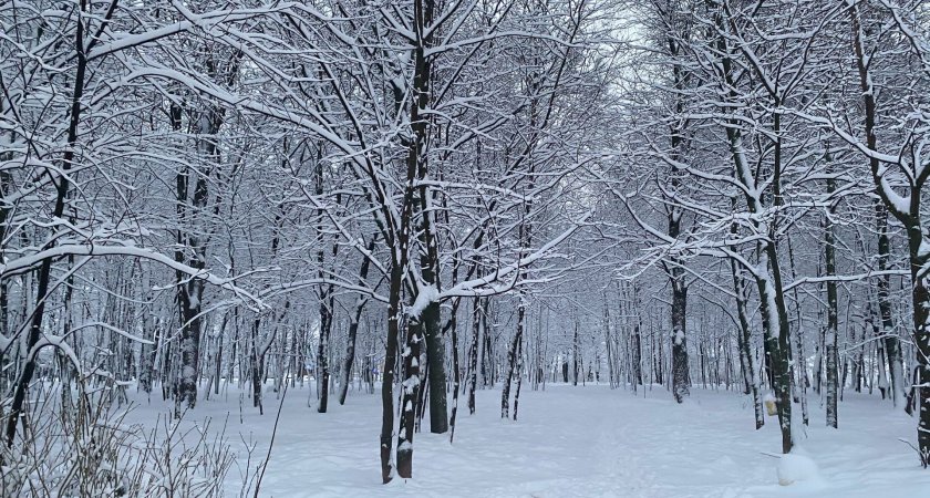 Переменная облачность и снег ожидаются в Нижнем Новгороде перед новогодними праздниками