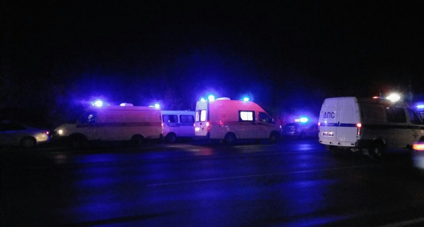 В Нижегородской области на трассе водитель насмерть сбил пешехода в предновогоднюю ночь