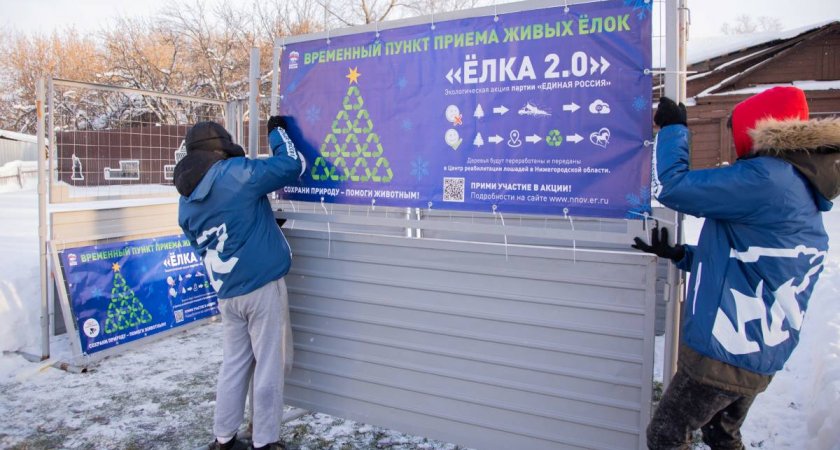 Нижегородцы смогут сдать новогодние елки в специальный пункт по утилизации  