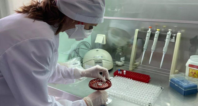 Новый штамм коронавируса выявлен во Франции