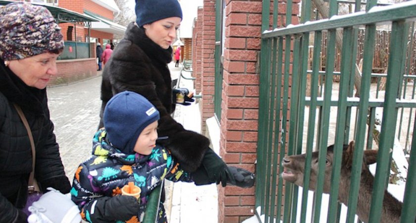 В Татьянин день нижегородский зоопарк сделает небольшой подарок всем пришедшим Татьянам
