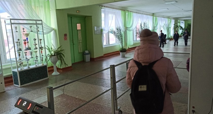Нижегородцы просят перевести школьников на дистанционку из-за роста заболеваемости  