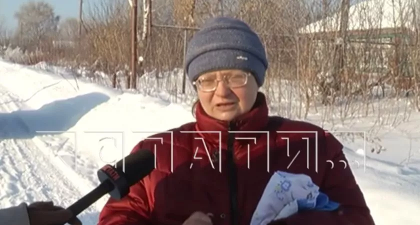 Фото к статье: Жестокое нападение кошки на женщину произошло в Нижегородской области