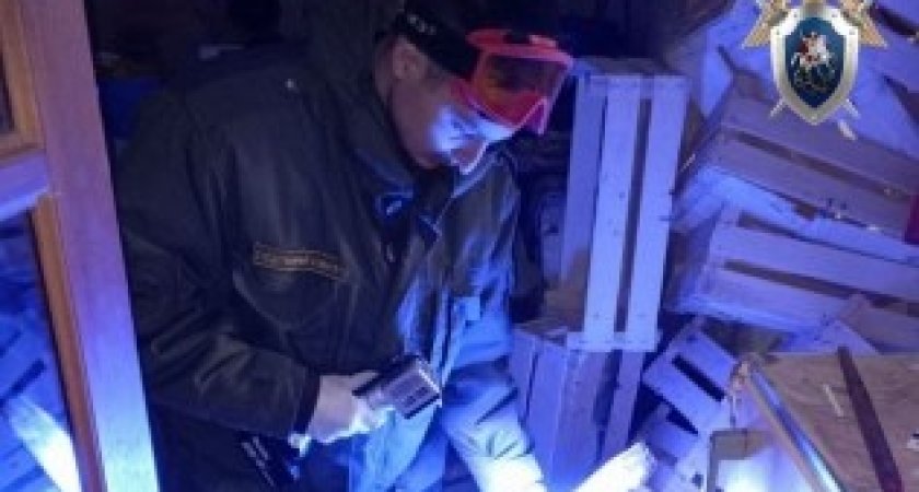 В Павлове убийцу смогли вычислить благодаря беспокойству матери погибшего 