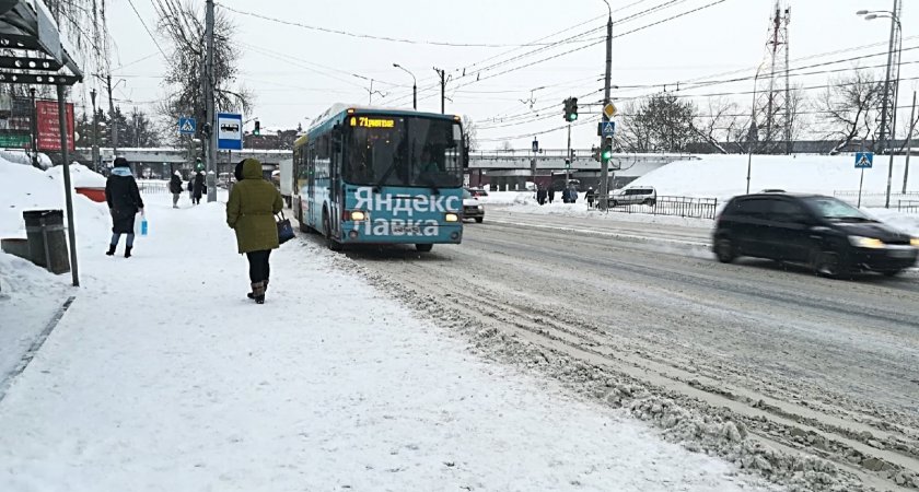 В Нижнем Новгороде городские автобусы разделят на два вида